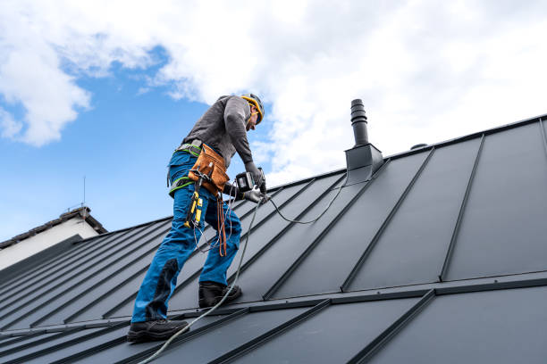 Professional Roofing in Avonia, PA